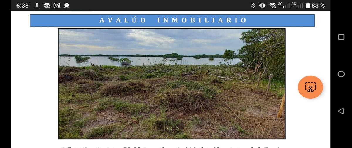Foto de rancho en venta en  , santa clara, dzidzantún, yucatán, 27530151 No. 03