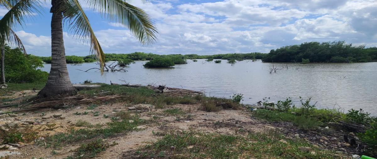 Foto de terreno habitacional en venta en  , santa clara, dzidzantún, yucatán, 27565619 No. 03