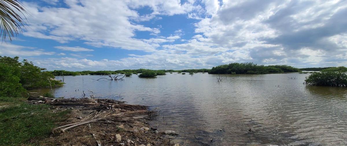 Foto de terreno habitacional en venta en  , santa clara, dzidzantún, yucatán, 27565619 No. 04