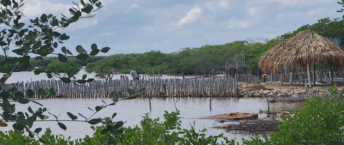 Foto de terreno habitacional en venta en  , santa clara, dzidzantún, yucatán, 27565619 No. 05