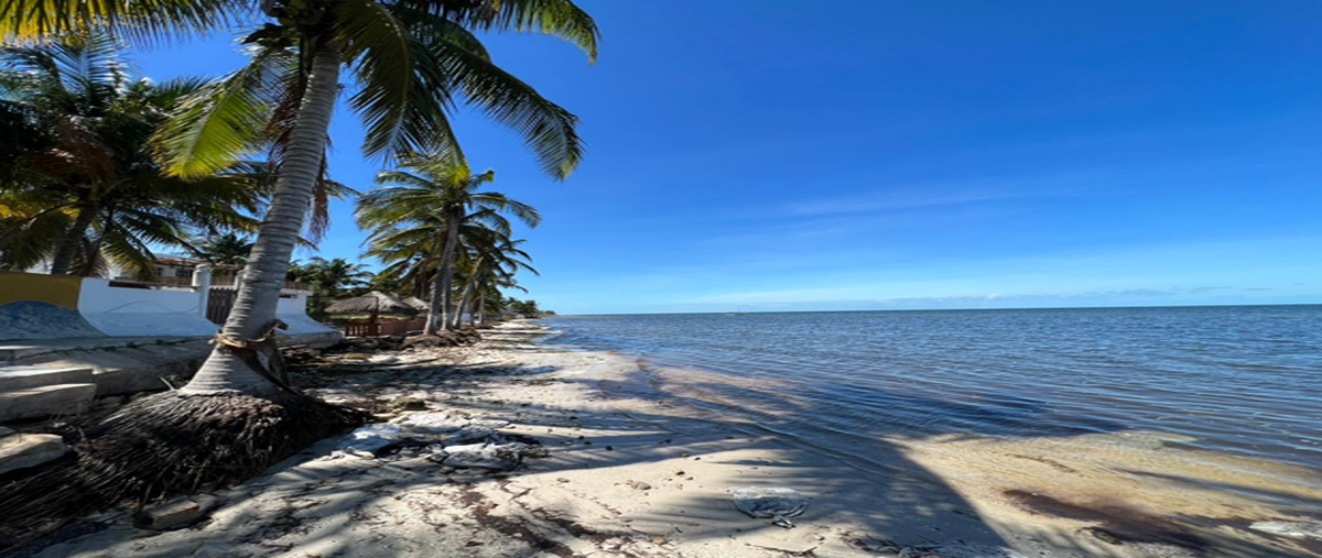 Foto de departamento en , santa clara, dzidzantún, yucatán, 27687618 foto 02 Foto de departamento en venta en , santa clara, dzidzantún, yucatán, 27687618 No. 02