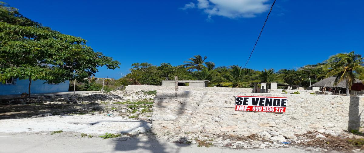 Foto de terreno habitacional en renta en  , santa clara, dzidzantún, yucatán, 27776134 No. 04