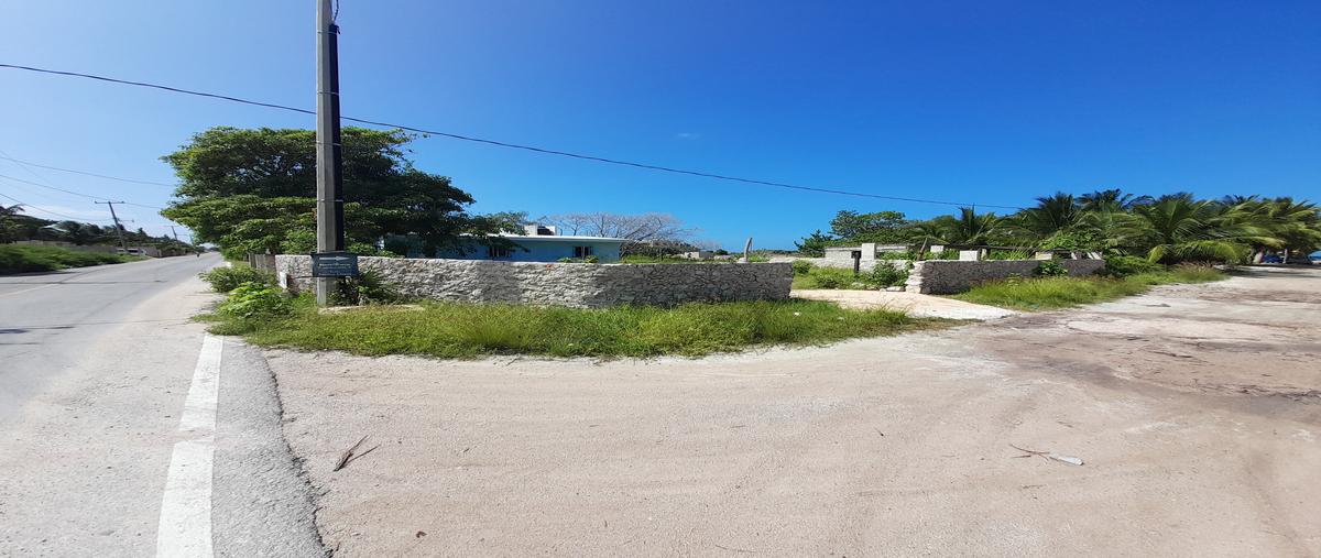 Foto de terreno habitacional en renta en  , santa clara, dzidzantún, yucatán, 27776134 No. 05