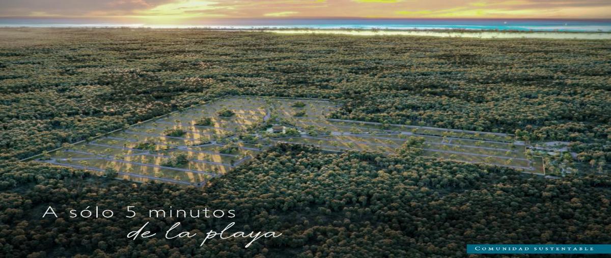 Foto de terreno habitacional en venta en  , santa clara, dzidzantún, yucatán, 0 No. 04