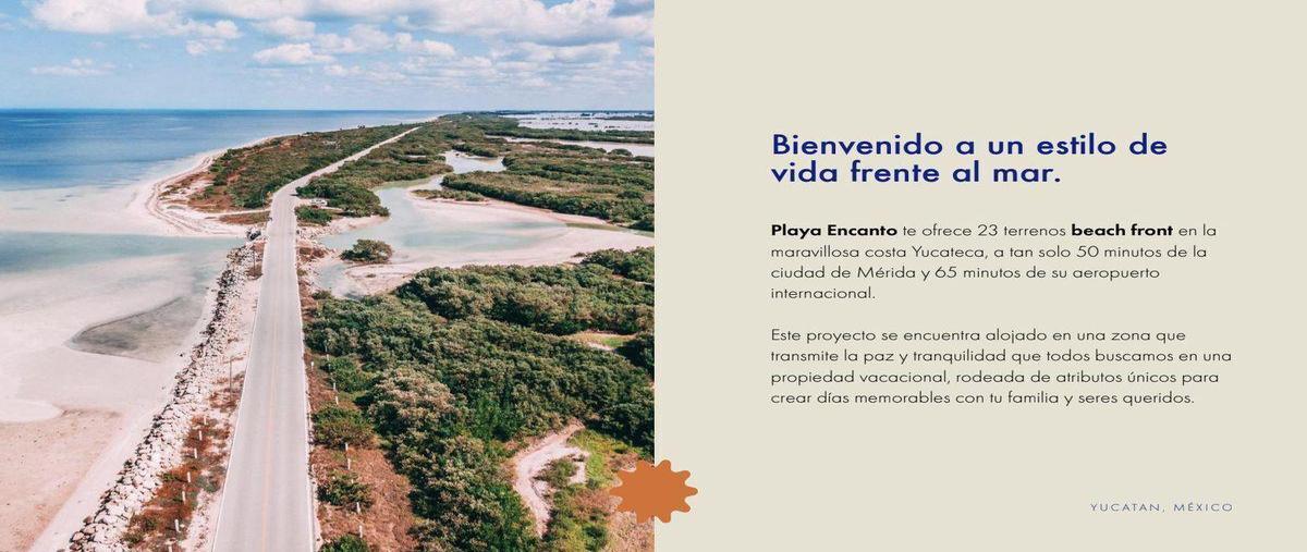 Foto de terreno habitacional en , santa clara, dzidzantún, yucatán, 0 foto 02 Foto de terreno habitacional en venta en , santa clara, dzidzantún, yucatán, 0 No. 02