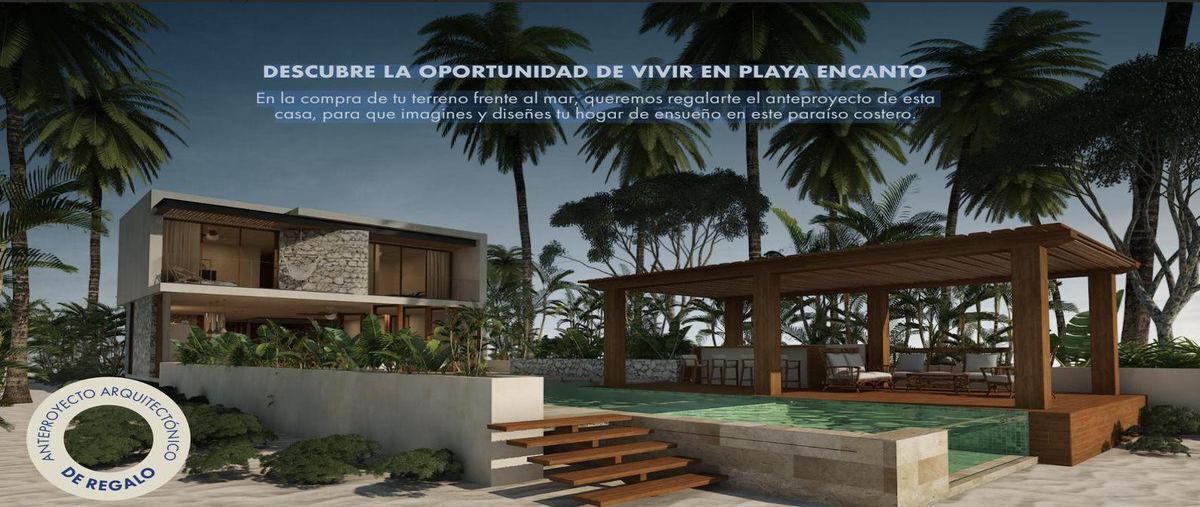 Foto de terreno habitacional en , santa clara, dzidzantún, yucatán, 0 foto 05 Foto de terreno habitacional en venta en , santa clara, dzidzantún, yucatán, 0 No. 05