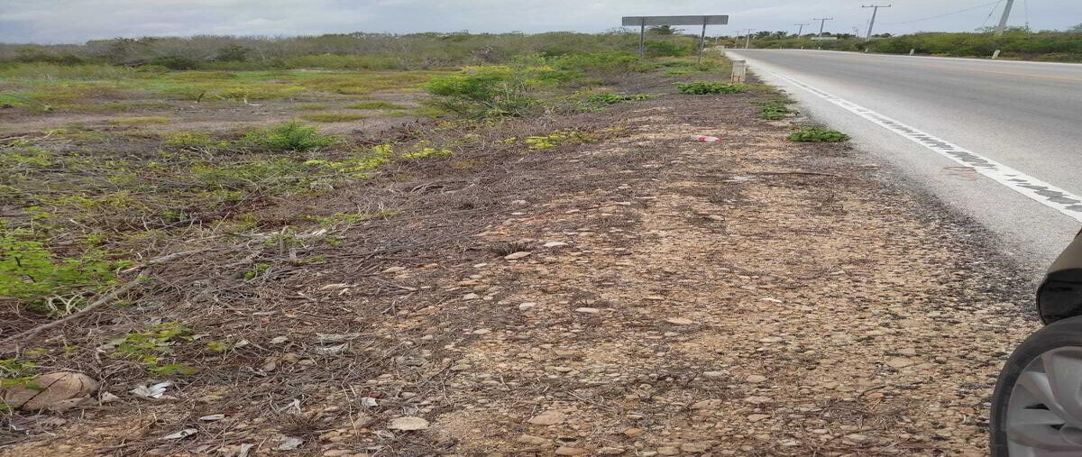 Foto de terreno habitacional en venta en  , santa clara, dzidzantún, yucatán, 28277790 No. 03