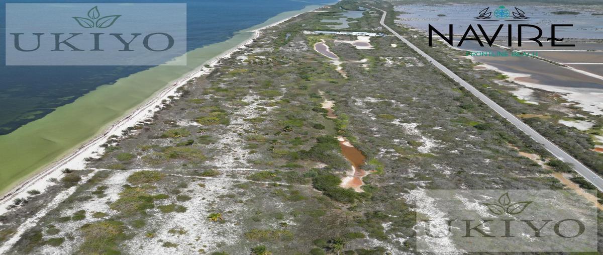 Foto de terreno habitacional en venta en  , santa clara, dzidzantún, yucatán, 28394952 No. 03