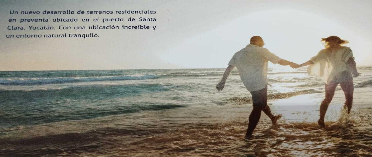 Foto de terreno habitacional en venta en  , santa clara, dzidzantún, yucatán, 0 No. 04