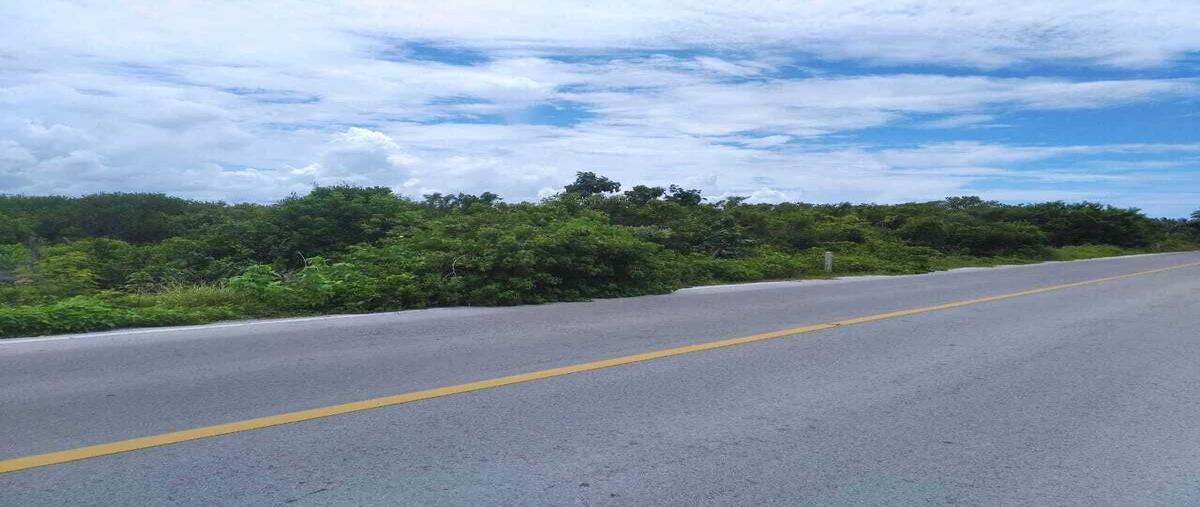 Foto de terreno habitacional en venta en  , santa clara, dzidzantún, yucatán, 28687976 No. 03