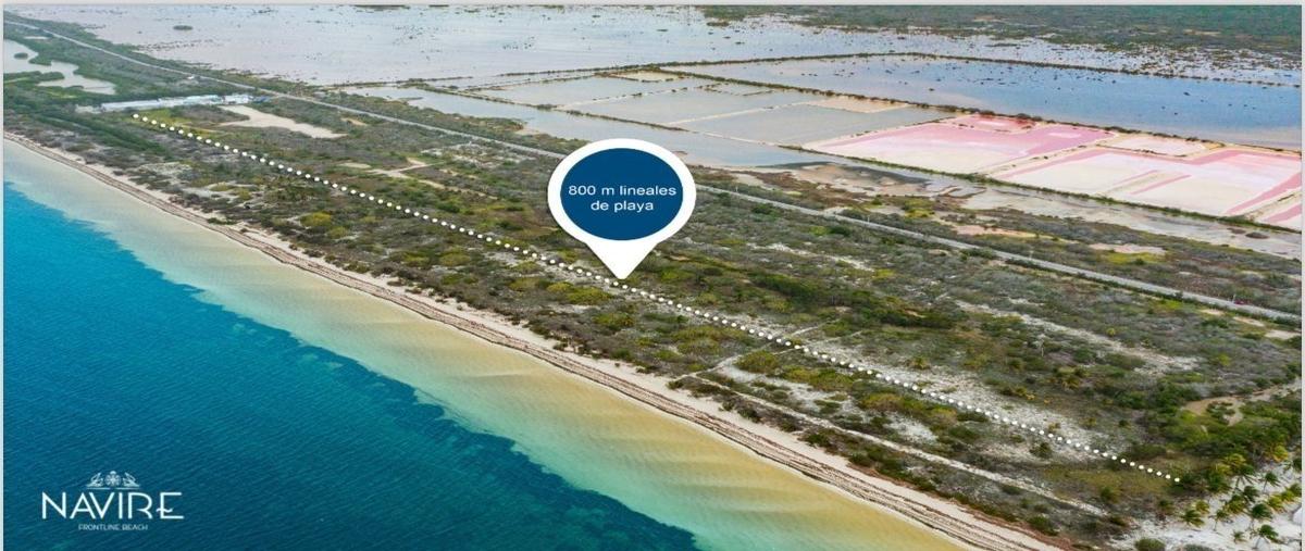 Foto de terreno habitacional en venta en  , santa clara, dzidzantún, yucatán, 28707267 No. 04