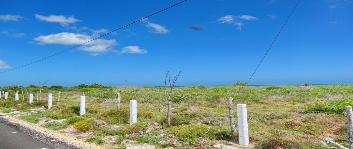 Foto de terreno habitacional en , santa clara, dzidzantún, yucatán, 0 foto 05 Foto de terreno habitacional en venta en , santa clara, dzidzantún, yucatán, 0 No. 05