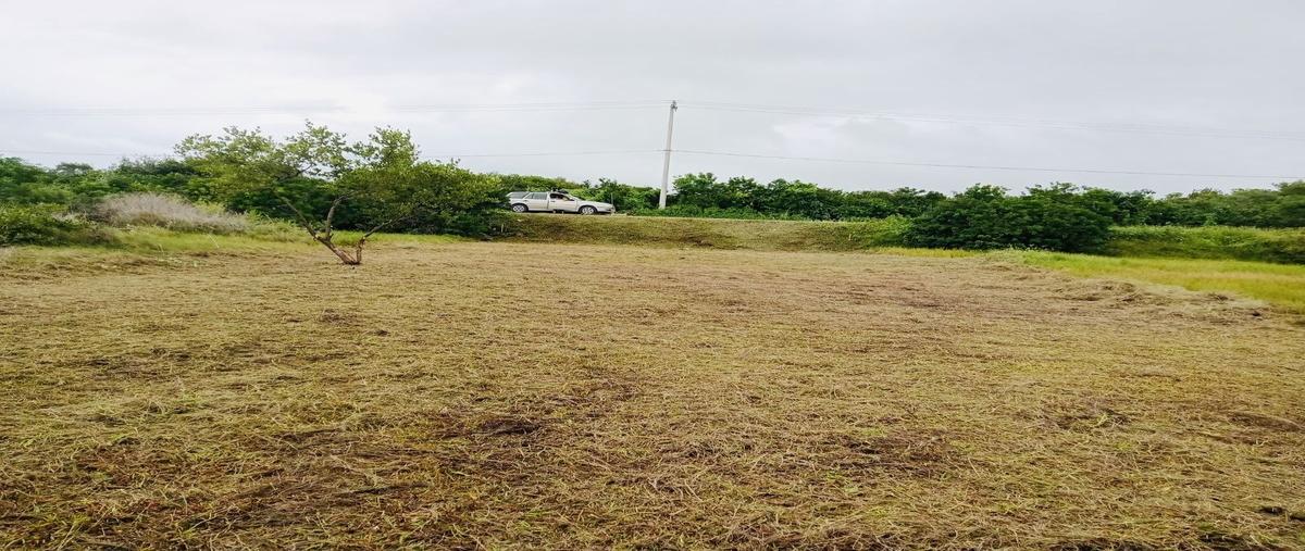 Foto de terreno habitacional en venta en  , santa clara, dzidzantún, yucatán, 0 No. 03