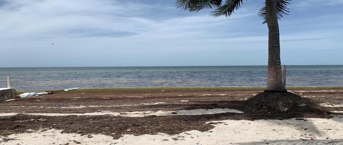 Foto de terreno habitacional en venta en  , santa clara, dzidzantún, yucatán, 0 No. 03