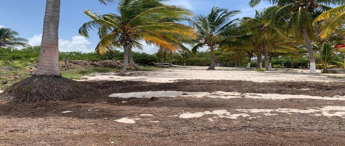 Foto de terreno habitacional en venta en  , santa clara, dzidzantún, yucatán, 0 No. 04