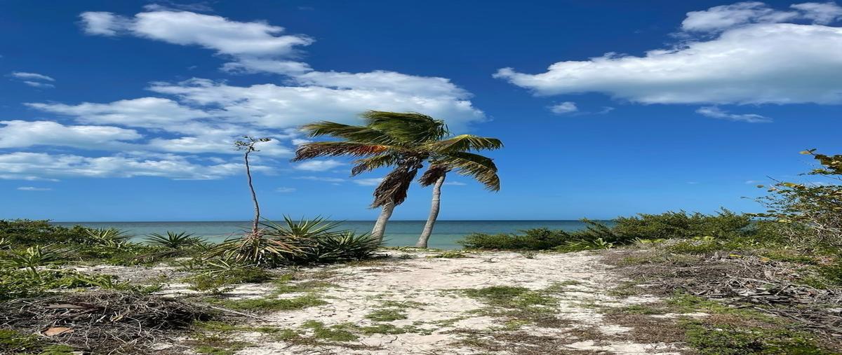 Foto de terreno habitacional en venta en  , santa clara, dzidzantún, yucatán, 0 No. 05
