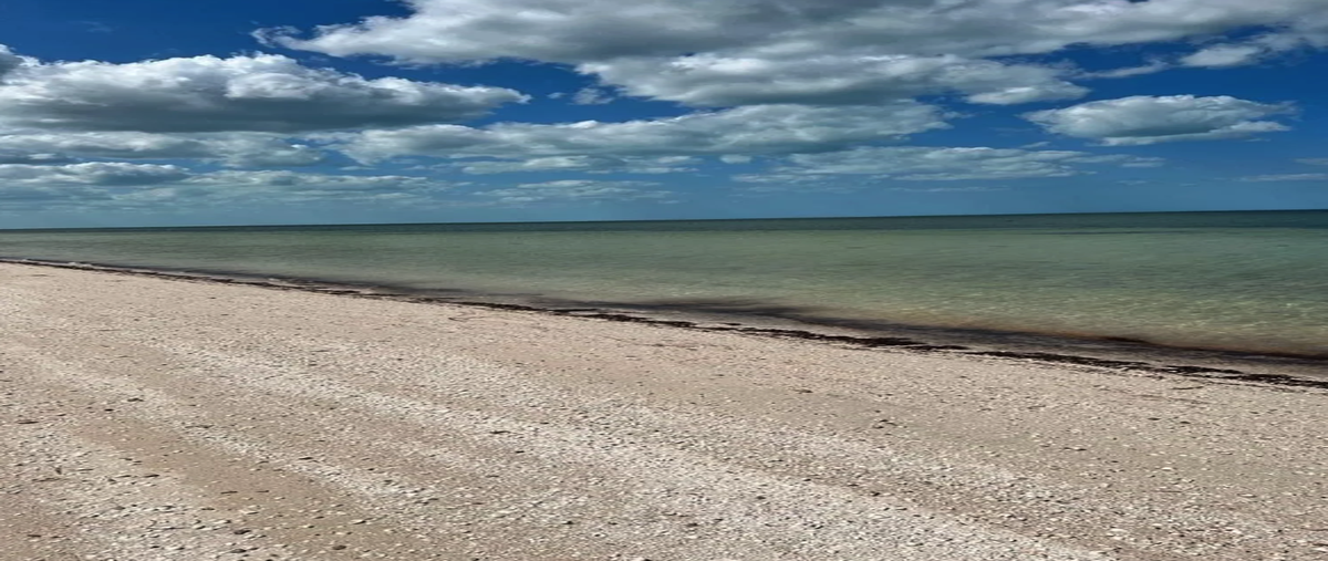 Foto de terreno habitacional en venta en  , santa clara, dzidzantún, yucatán, 29627348 No. 05