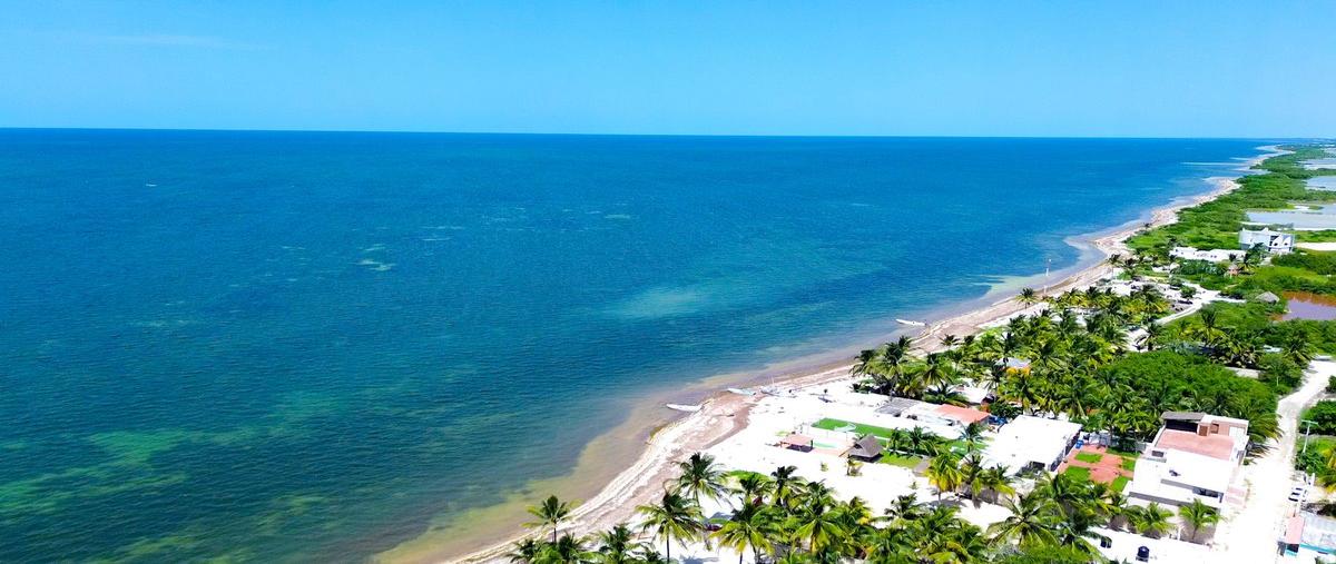 Foto de terreno habitacional en , santa clara, dzidzantún, yucatán, 0 foto 02 Foto de terreno habitacional en venta en , santa clara, dzidzantún, yucatán, 0 No. 02