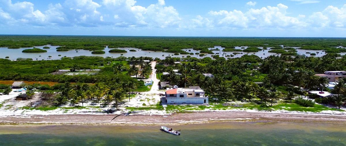Foto de terreno habitacional en , santa clara, dzidzantún, yucatán, 0 foto 04 Foto de terreno habitacional en venta en , santa clara, dzidzantún, yucatán, 0 No. 04
