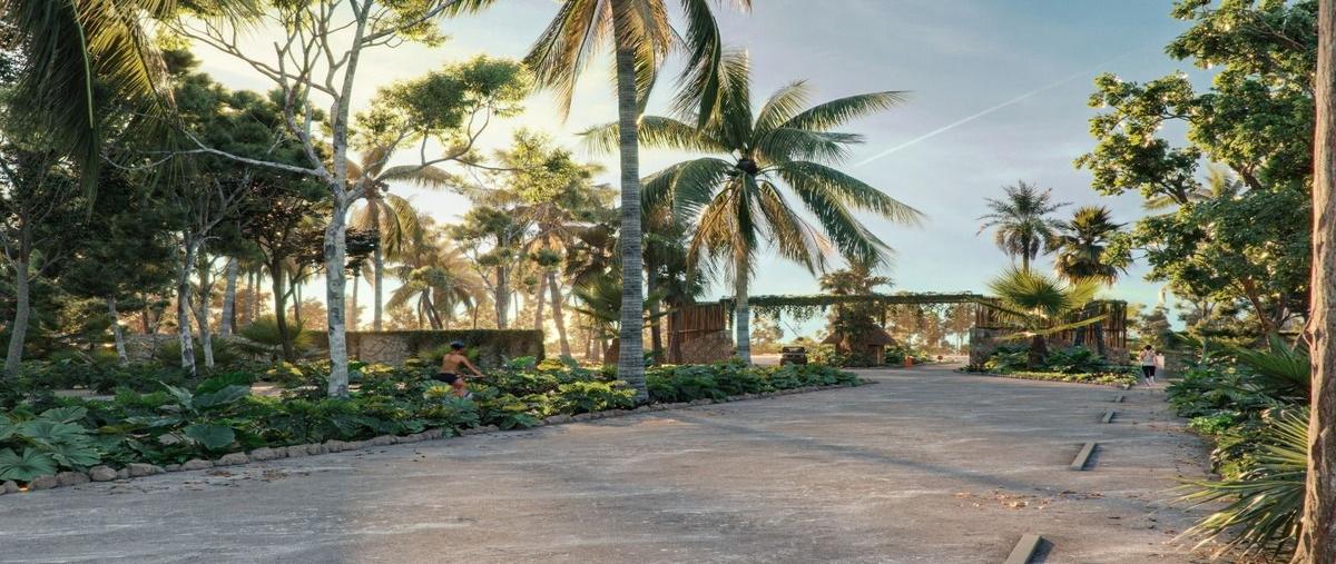 Foto de terreno habitacional en , santa clara, dzidzantún, yucatán, 0 foto 04 Foto de terreno habitacional en venta en , santa clara, dzidzantún, yucatán, 0 No. 04