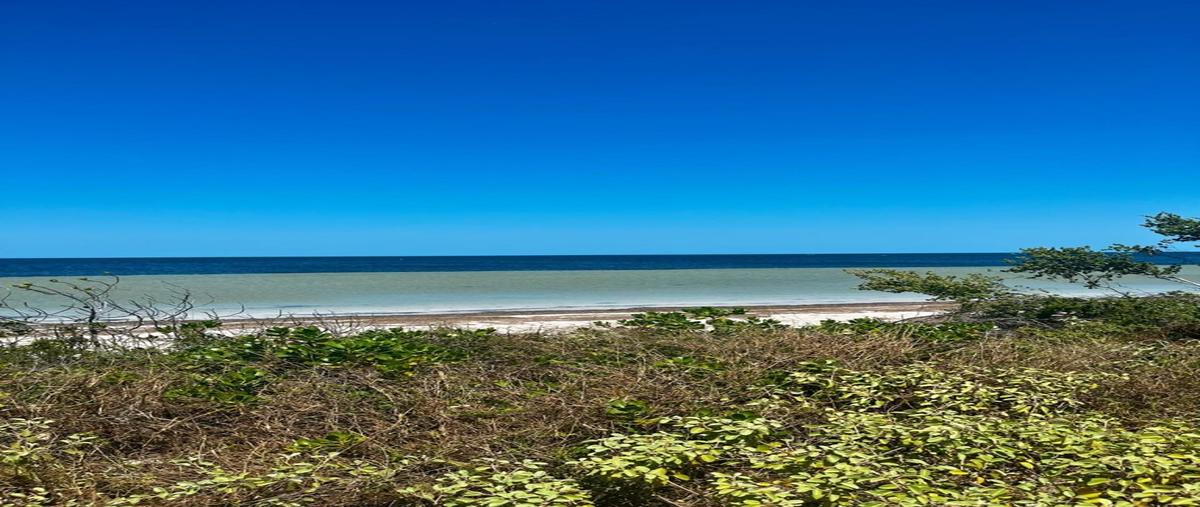 Foto de terreno habitacional en venta en  , santa clara, dzidzantún, yucatán, 29872794 No. 03