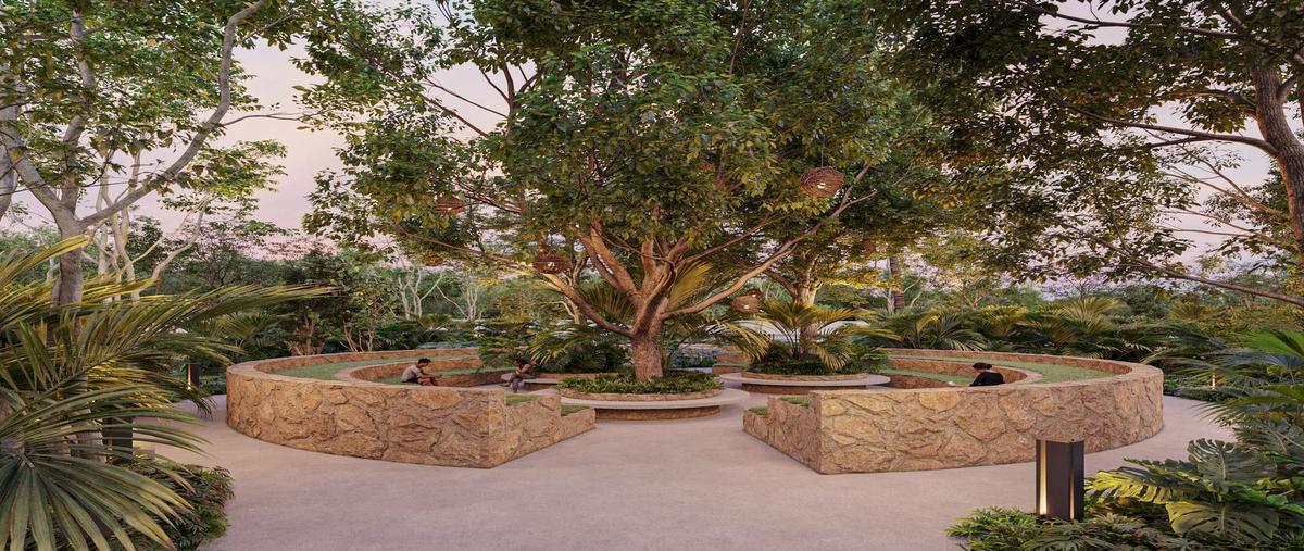 Foto de terreno habitacional en venta en  , santa clara, dzidzantún, yucatán, 0 No. 05