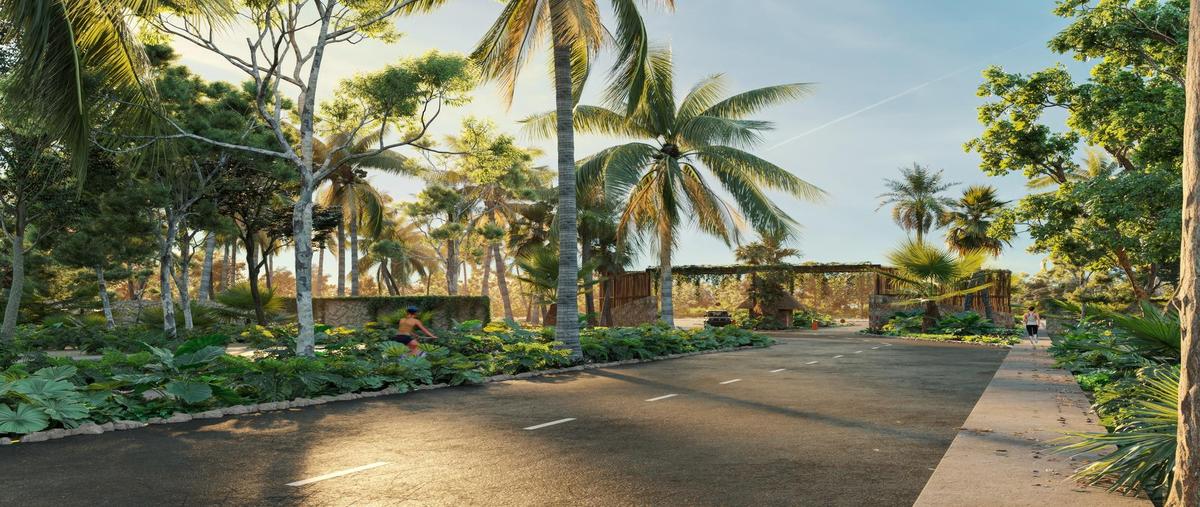 Foto de terreno habitacional en venta en  , santa clara, dzidzantún, yucatán, 30328594 No. 05