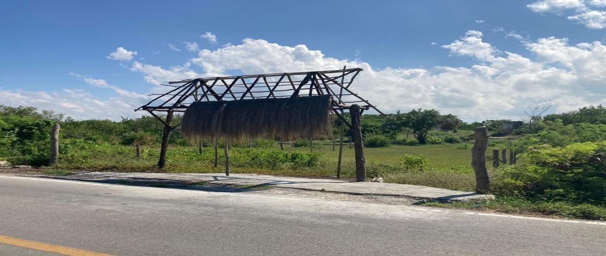Foto de terreno habitacional en venta en  , santa clara, dzidzantún, yucatán, 0 No. 03