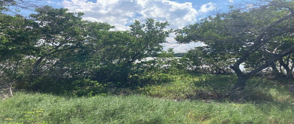 Foto de terreno habitacional en venta en  , santa clara, dzidzantún, yucatán, 0 No. 04
