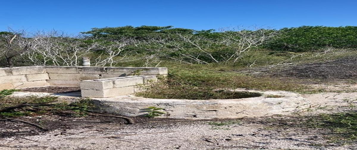 Foto de terreno habitacional en venta en  , santa clara, dzidzantún, yucatán, 30526052 No. 05