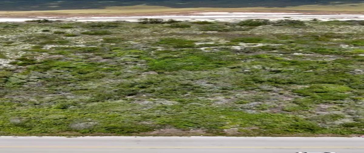 Foto de terreno habitacional en venta en  , santa clara, dzidzantún, yucatán, 0 No. 03