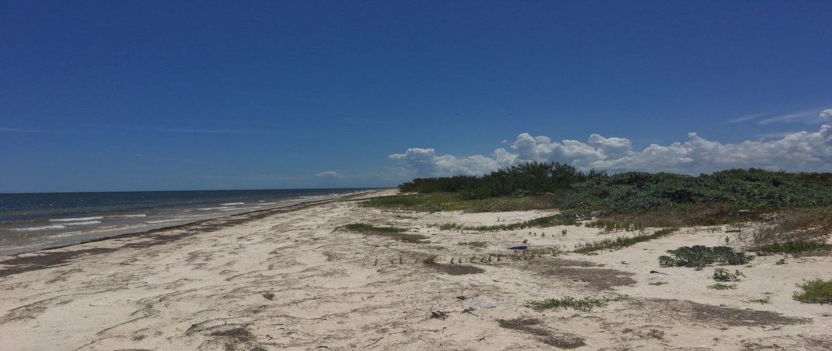 Foto de terreno habitacional en venta en  , santa clara, dzidzantún, yucatán, 0 No. 04