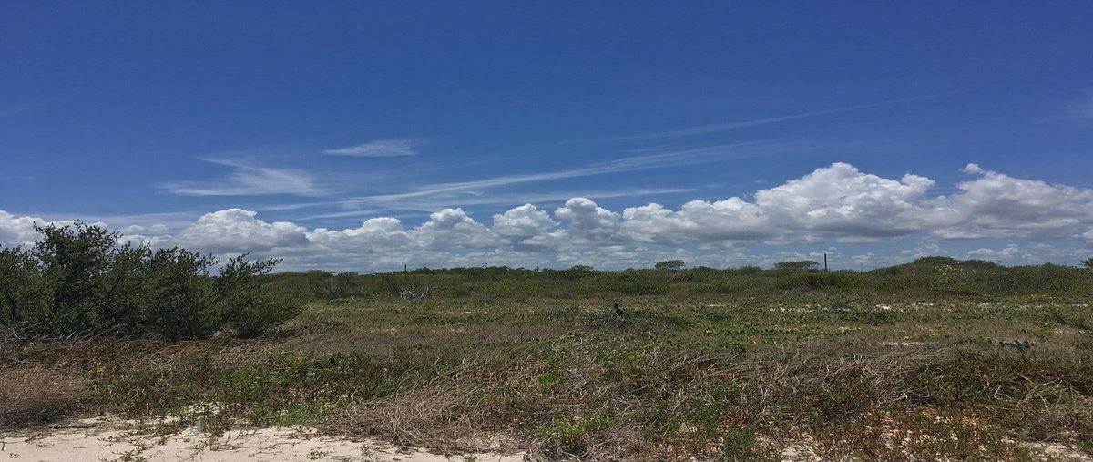 Foto de terreno habitacional en venta en  , santa clara, dzidzantún, yucatán, 0 No. 05
