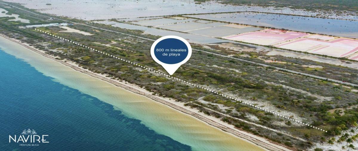 Foto de terreno habitacional en venta en  , santa clara, dzidzantún, yucatán, 0 No. 04