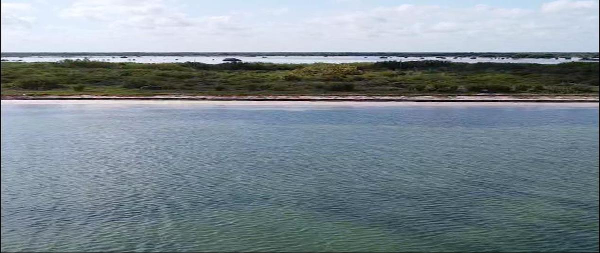 Foto de terreno habitacional en venta en  , santa clara, dzidzantún, yucatán, 0 No. 03