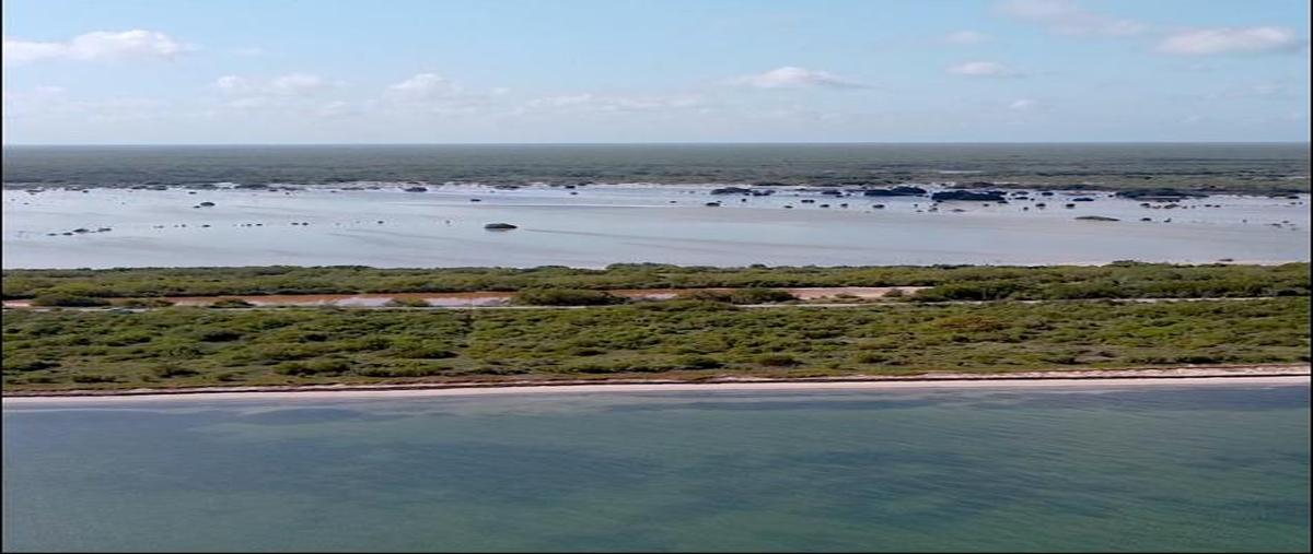 Foto de terreno habitacional en venta en  , santa clara, dzidzantún, yucatán, 0 No. 04