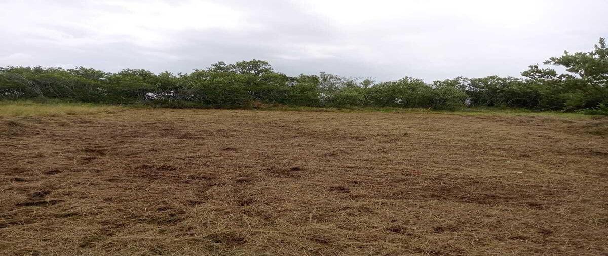 Foto de terreno habitacional en , santa clara, dzidzantún, yucatán, 0 foto 03 Foto de terreno habitacional en venta en , santa clara, dzidzantún, yucatán, 0 No. 03