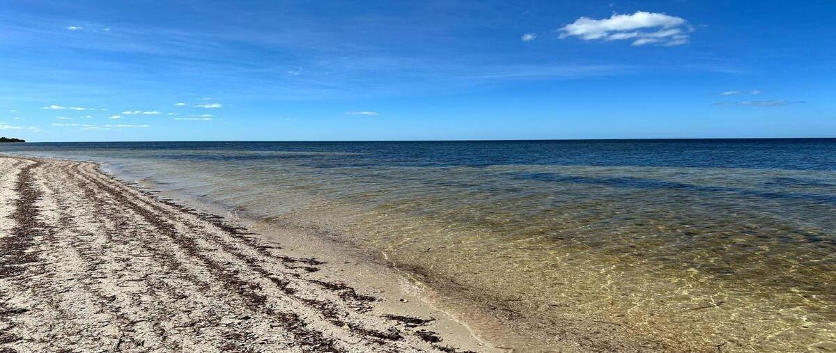 Foto de terreno habitacional en , santa clara, dzidzantún, yucatán, 0 foto 03 Foto de terreno habitacional en venta en , santa clara, dzidzantún, yucatán, 0 No. 03