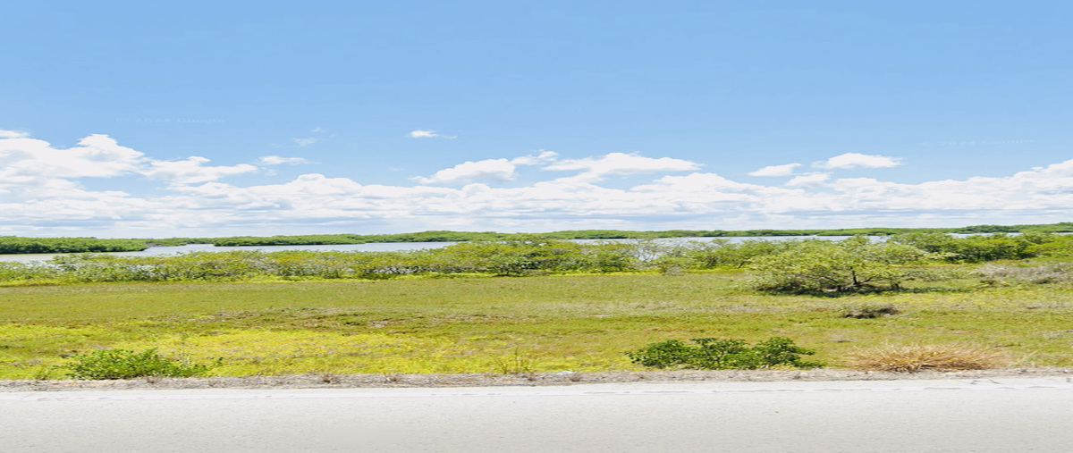 Foto de terreno habitacional en venta en  , santa clara, dzidzantún, yucatán, 0 No. 04