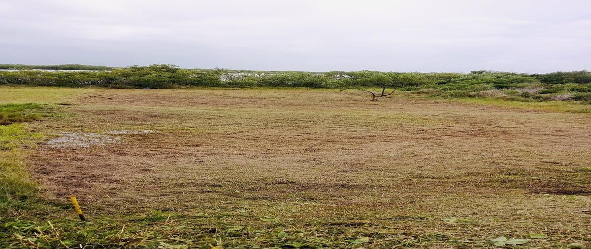 Foto de terreno habitacional en venta en  , santa clara, dzidzantún, yucatán, 0 No. 05
