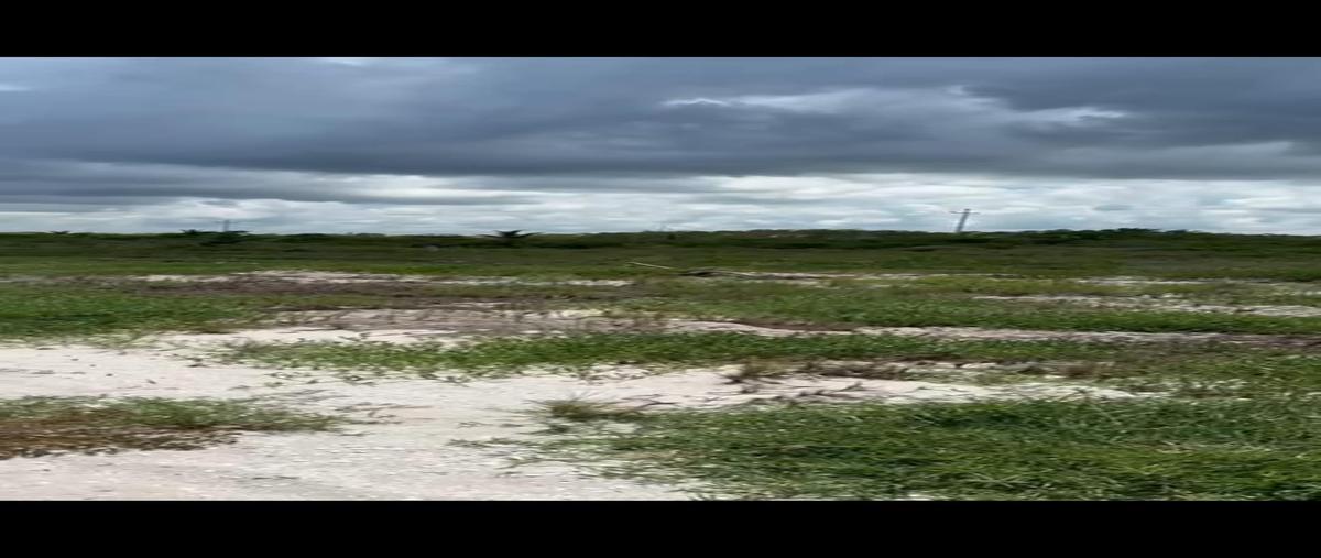 Foto de terreno habitacional en venta en  , santa clara, dzidzantún, yucatán, 0 No. 03