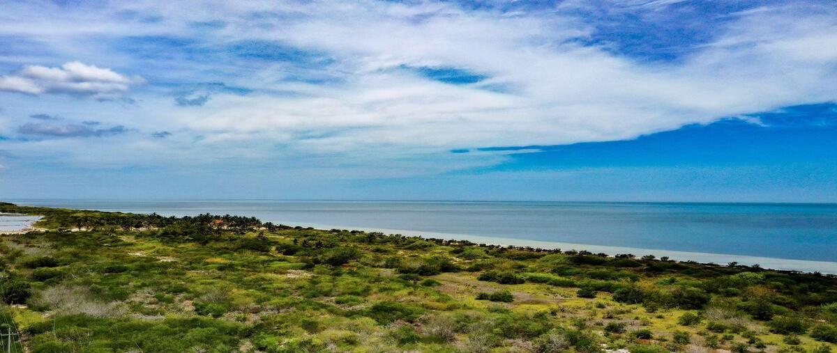 Foto de terreno habitacional en venta en  , santa clara, dzidzantún, yucatán, 30965715 No. 04