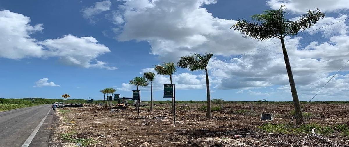 Foto de terreno habitacional en venta en  , santa clara, dzidzantún, yucatán, 30974678 No. 03