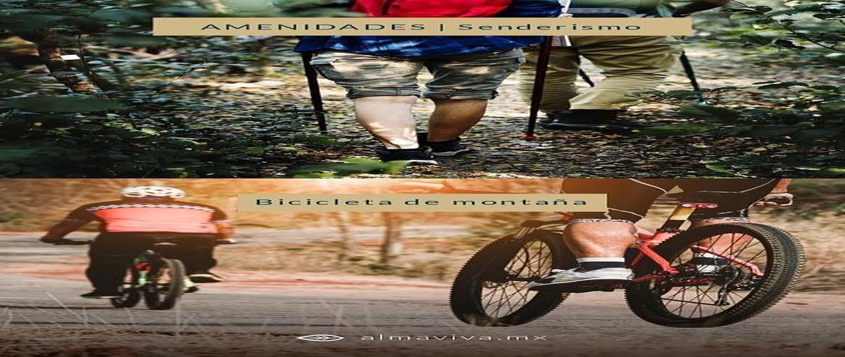 Foto de terreno habitacional en venta en  , santa clara, dzidzantún, yucatán, 0 No. 10