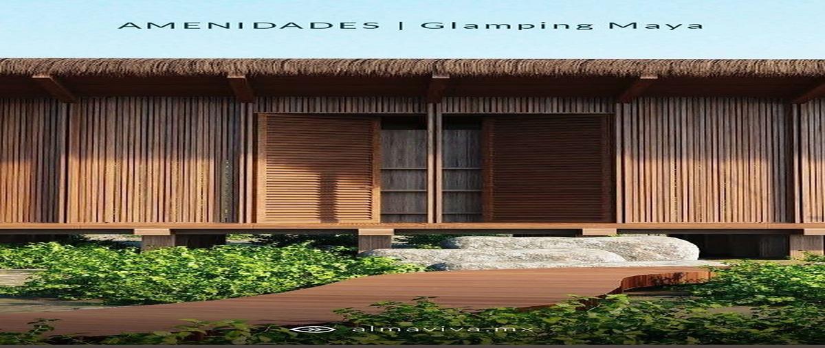 Foto de terreno habitacional en venta en  , santa clara, dzidzantún, yucatán, 0 No. 13