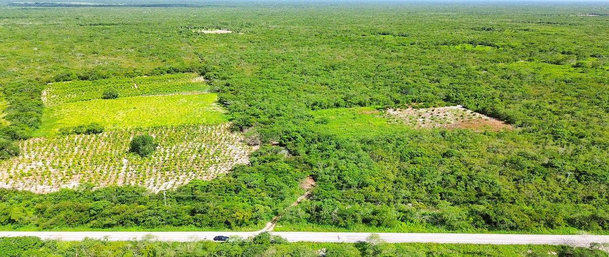 Foto de terreno habitacional en venta en  , santa clara, dzidzantún, yucatán, 31041317 No. 04