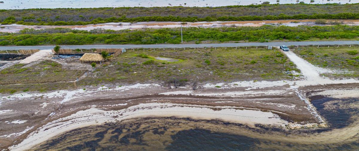Foto de terreno habitacional en venta en  , santa clara, dzidzantún, yucatán, 0 No. 03