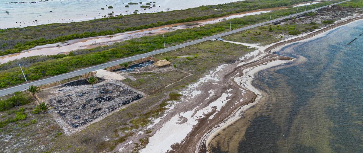 Foto de terreno habitacional en venta en  , santa clara, dzidzantún, yucatán, 0 No. 04