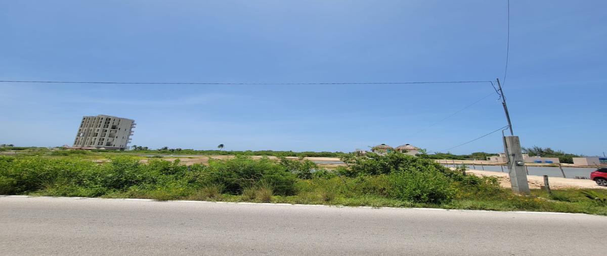 Foto de terreno habitacional en venta en  , santa clara, dzidzantún, yucatán, 31558662 No. 05