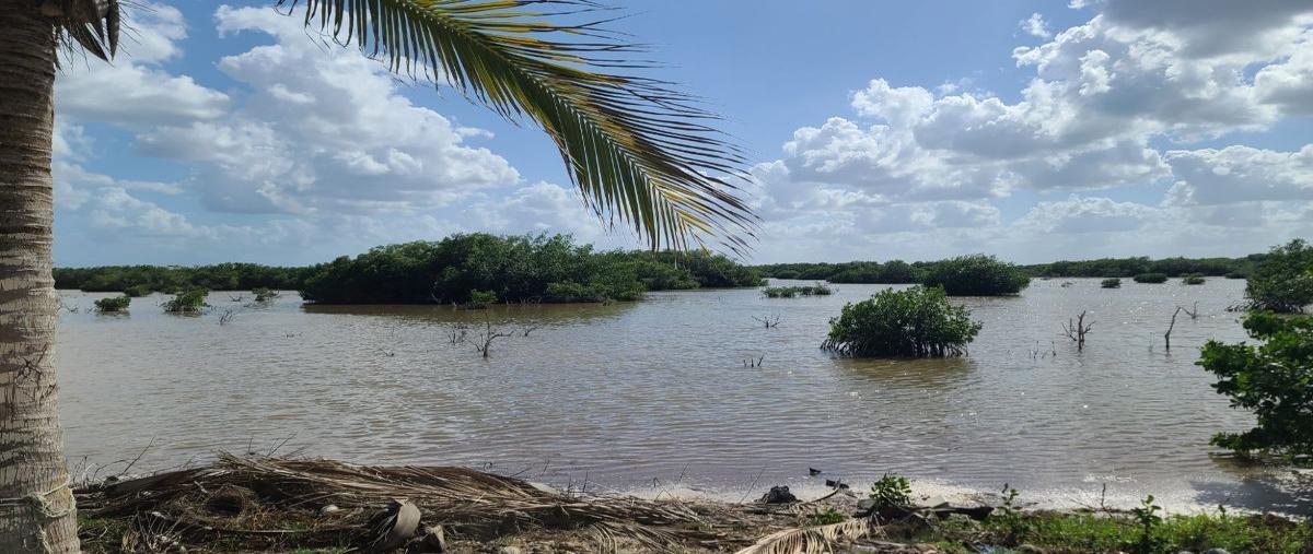 Foto de terreno habitacional en venta en santa clara, dzidzantún, yucatán , santa clara, dzidzantún, yucatán, 27567077 No. 03